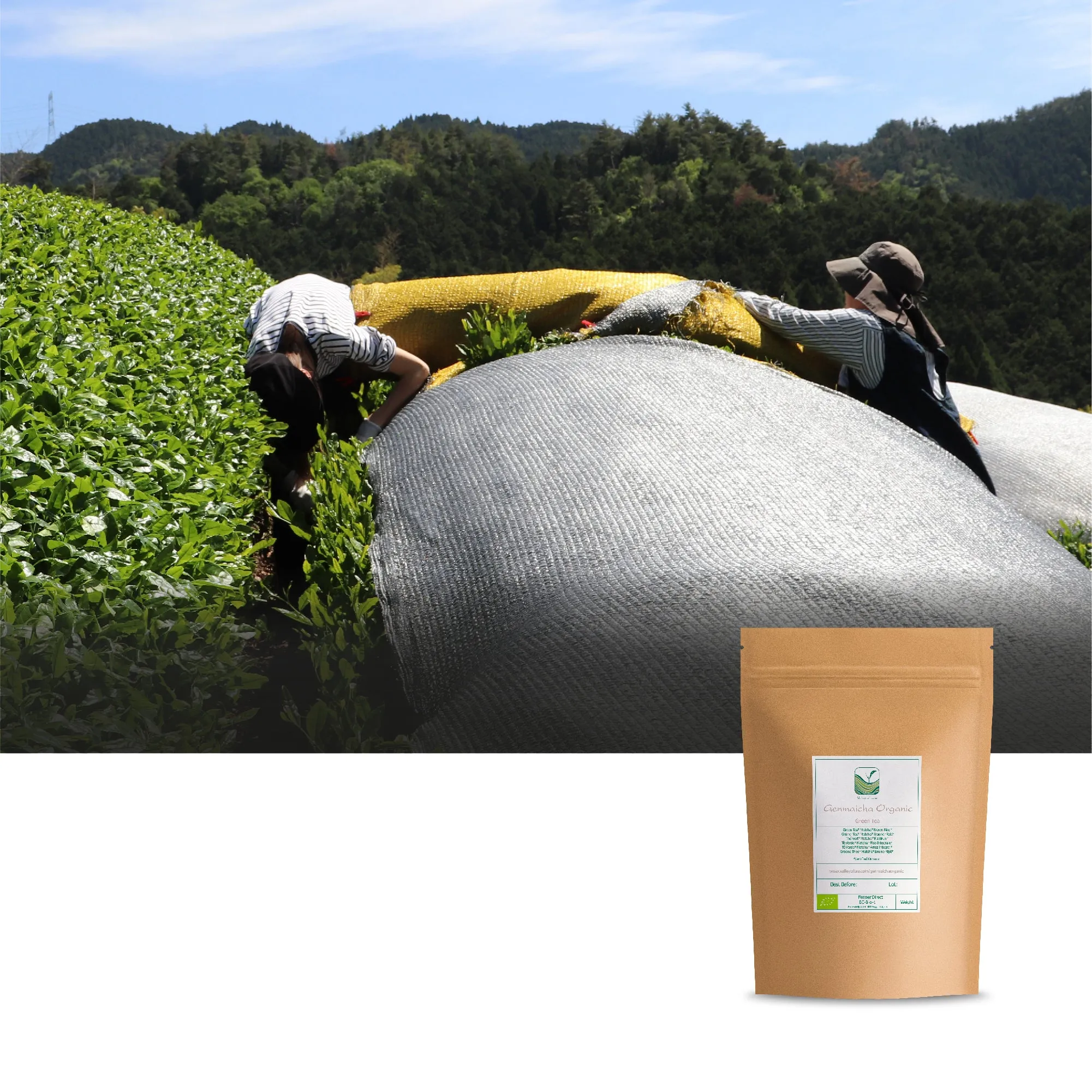 Genmaicha Organic