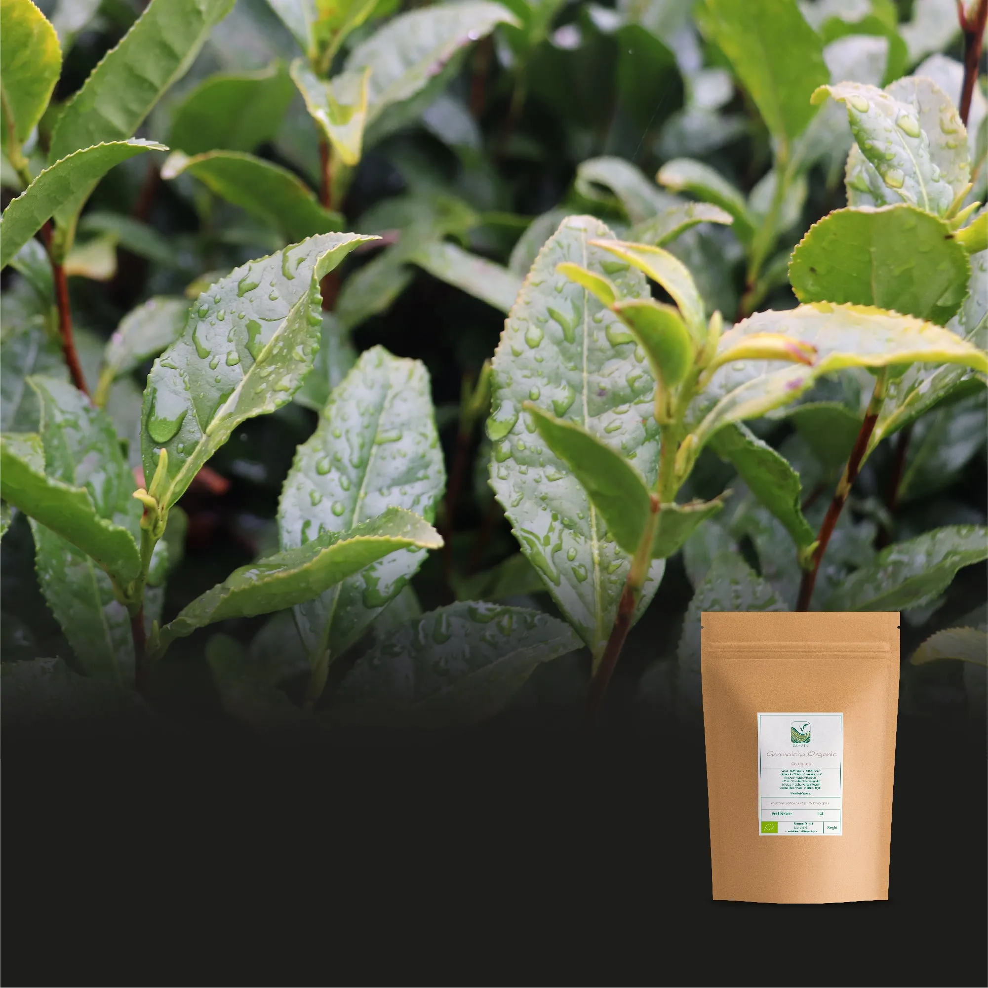 Genmaicha Organic