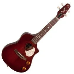 Seagull 046355 Acoustic Electric Ukulele Nylon SG Burst EQ with Carrying Bag MADE In CANADA